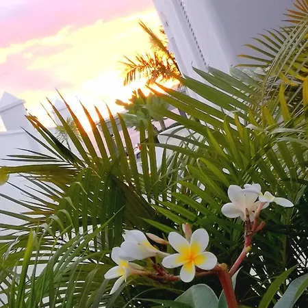 Villa8 Vila Puerto de Santiago (Tenerife)