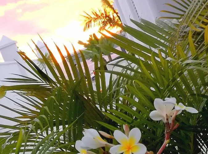 Villa8 Βίλα Puerto de Santiago (Tenerife)