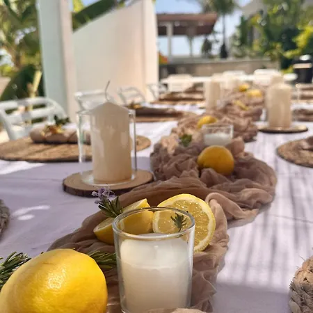 فيلة Villa8